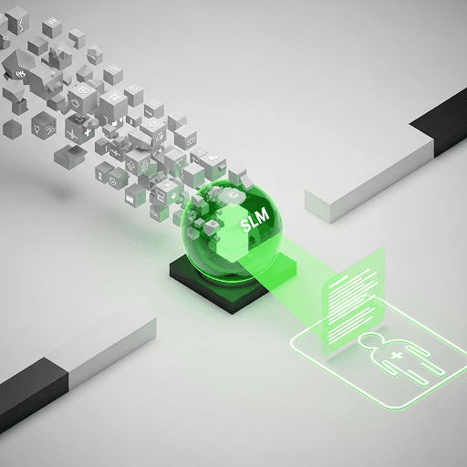 Custom Healthcare SLM Development case study